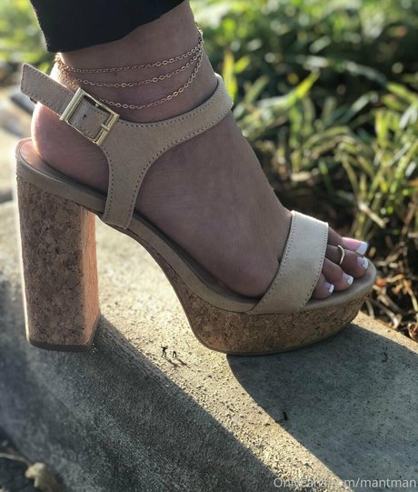 college-lehrer nur fans kunst kostenlose archiv