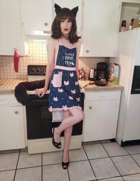 lemmonpussy erotische kunst galerien