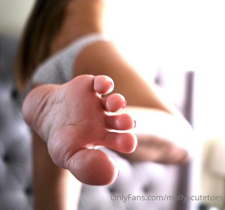 mollyscutetoes top kunst bild