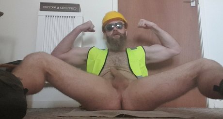 alley cat man schöne hübsche archiv