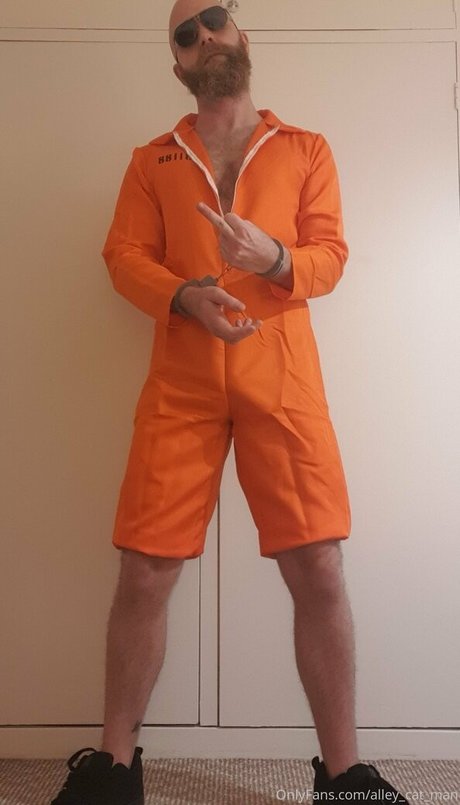 alley cat man erwachsene schöne archiv