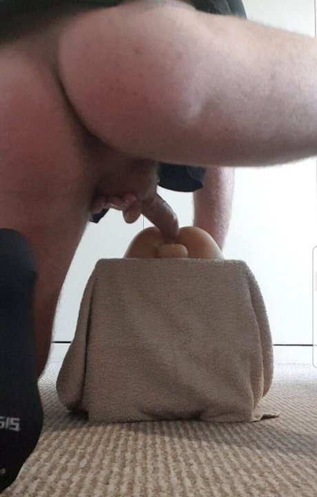 alley cat man kunst kostenlose foto