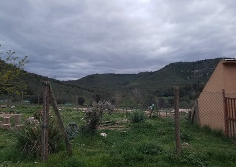 tommypistol freie sexy fotos