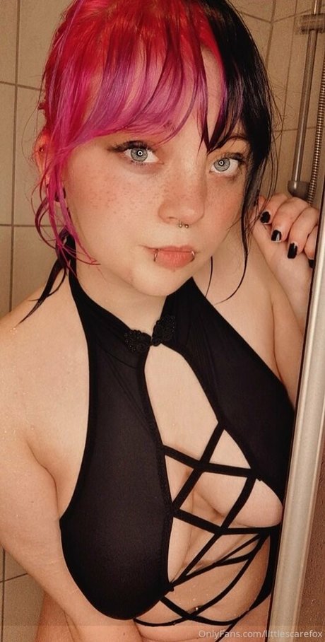 littlescarefox hd perfekte bilder