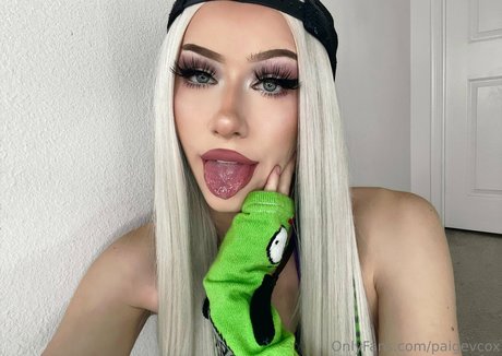 lovingpet sexy top bild