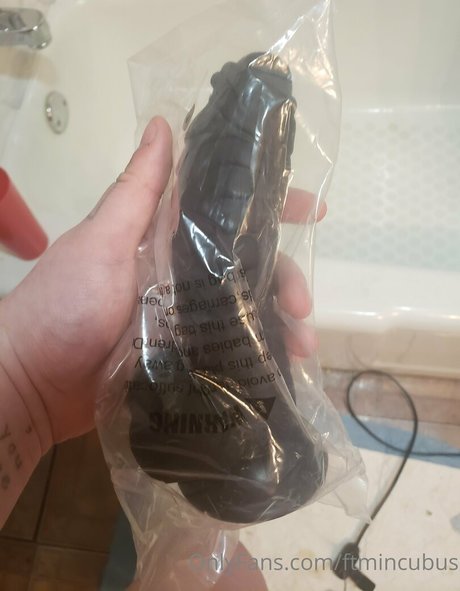 ftmincubus hübsche freie foto