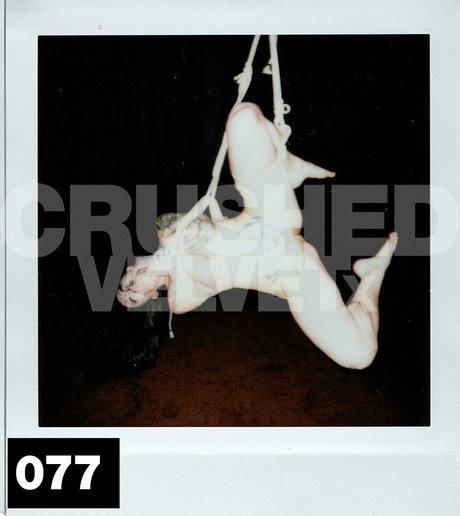 crushedvelvetx erwachsene exklusive galerie