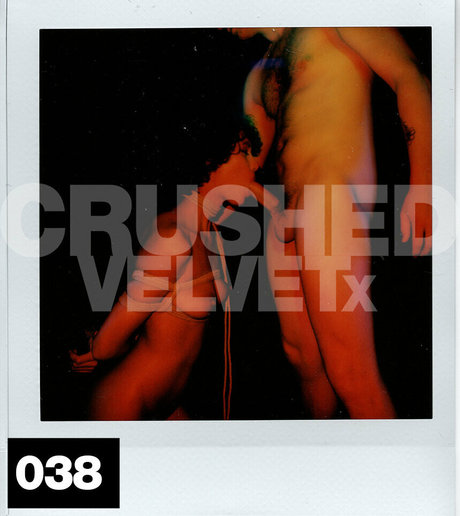 crushedvelvetx Profilbild