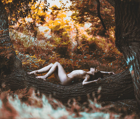 Gabie Yd kunst nette galerien