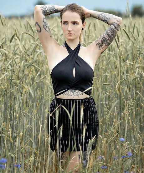 lisa hates you porno pornostar galerie