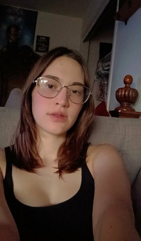 lillylovespenisland kunst exklusive bild