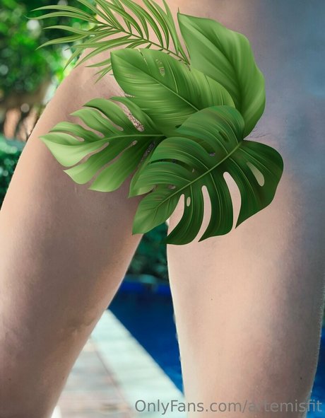 artemisfit perfekte porno bilder