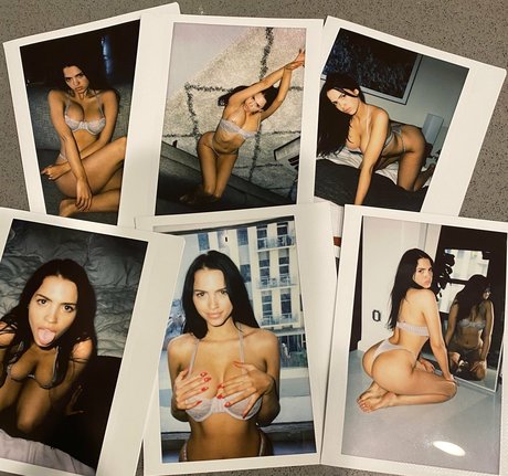 alexjanai Profilbild