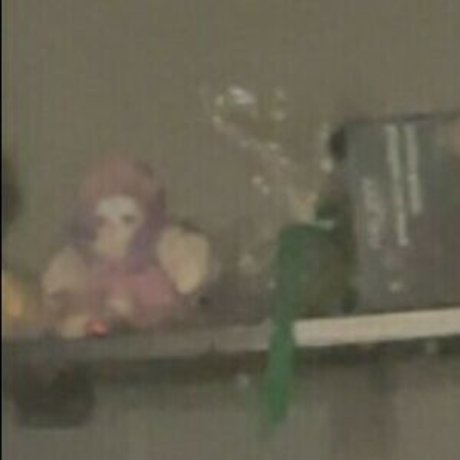 Realcarpetmuncher heiße porno bild