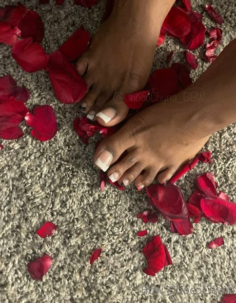 bbw chocochyna pornostar perfekte foto