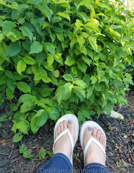 only feetpc2022 kunst perfekte galerie