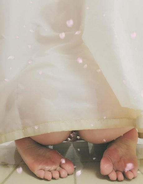 pynnksphynx top beste galerie