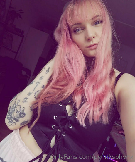 pynnksphynx hübsche exklusive galerien