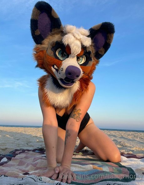 tastymonty Profilbild