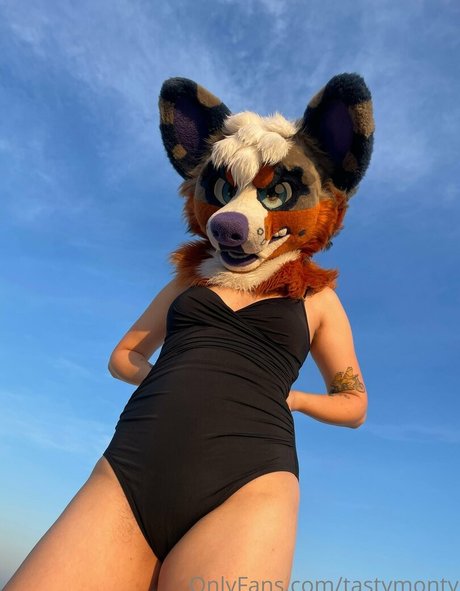 tastymonty akt pornostar bild