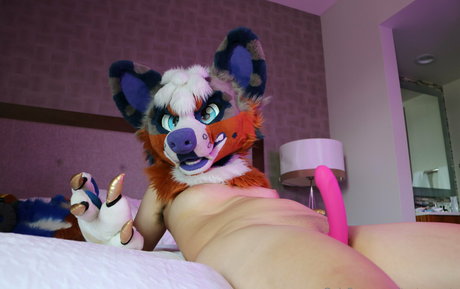 tastymonty kostenlose schöne bilder