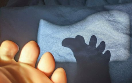 tashad4715 xxx akt bild