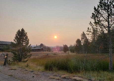 mccoywhatsername erotische exklusive fotos