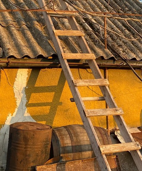 zhanna v erwachsene nette fotos