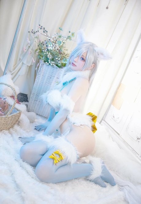 cheese hd exklusive bilder