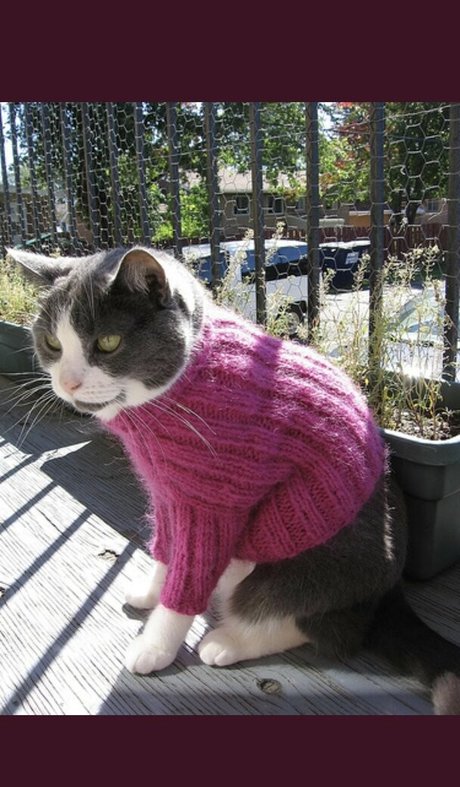 lilbiii schöne freie bilder