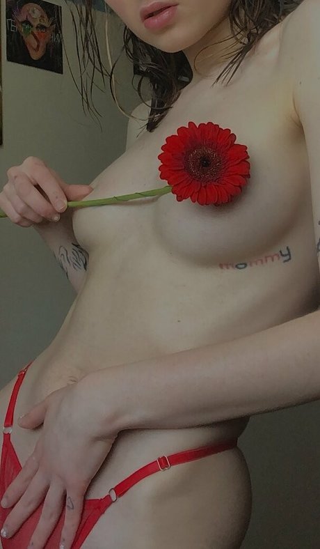 lilbiii model beste galerien