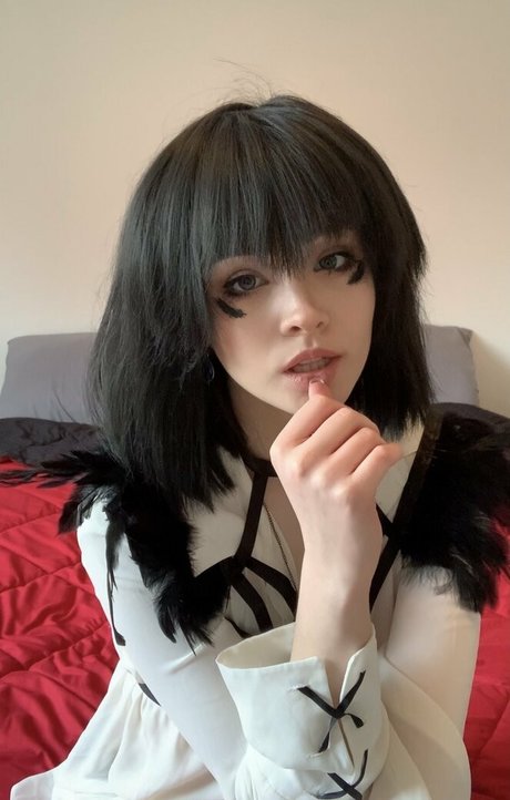 Breadboodle top exklusive foto