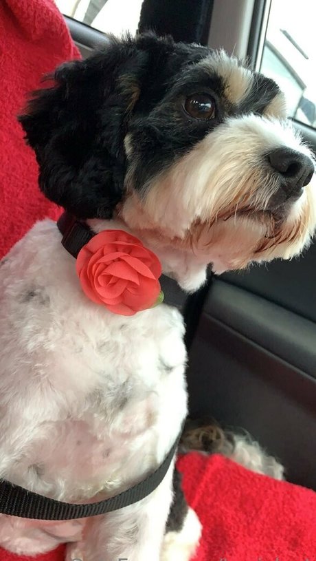 blowjob in der öffentlichkeit nur fans nackt freie fotos