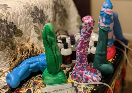 punkdprincess schöne kostenlose bilder