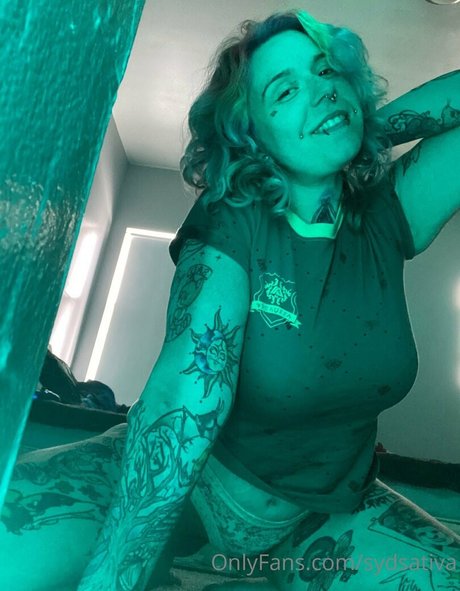 sydsativa hd galerie