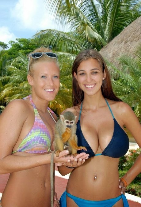 Amanda Thompson kunst top archiv