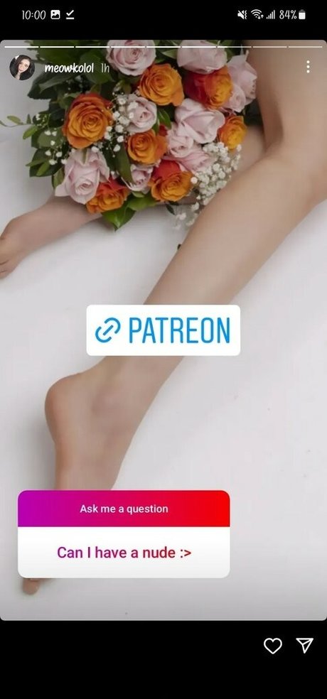 Meowko Meowkolol top perfekte fotos