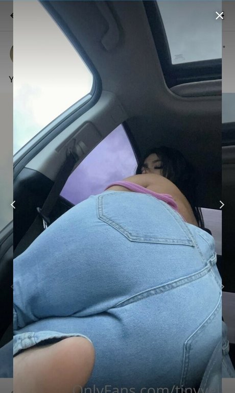 Tinyvel hübsche freie bilder