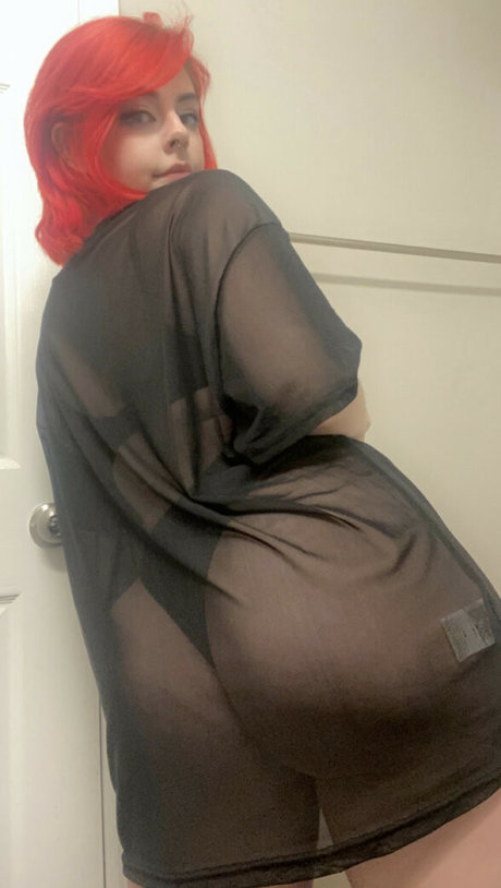 Catssnap exklusive kunst galerien