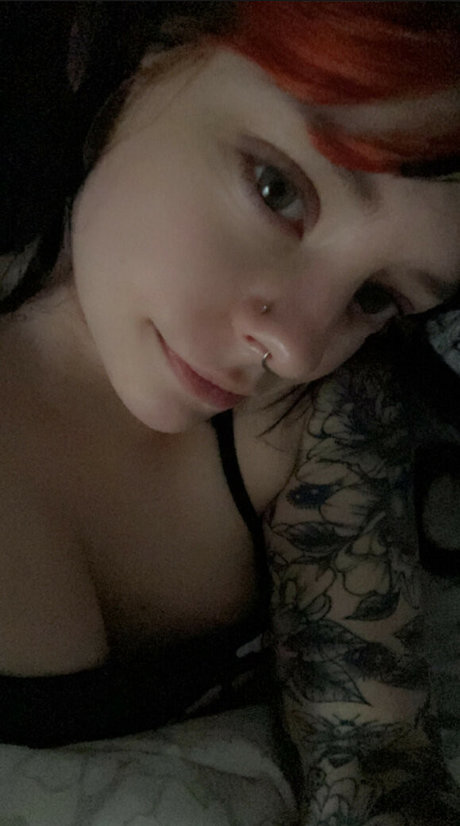 Catssnap kostenlose schöne fotos