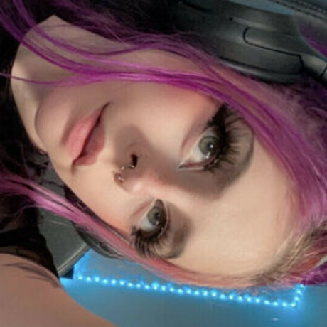 Catssnap hd kostenlose galerien