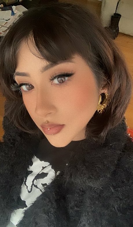 Ihatebackshots kunst beste bilder