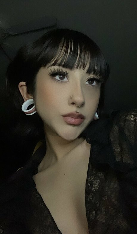 Ihatebackshots hd kostenlose bild