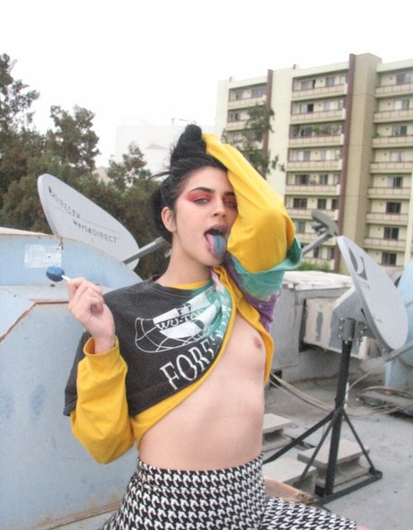 foreigntrashbag perfekte freie bild