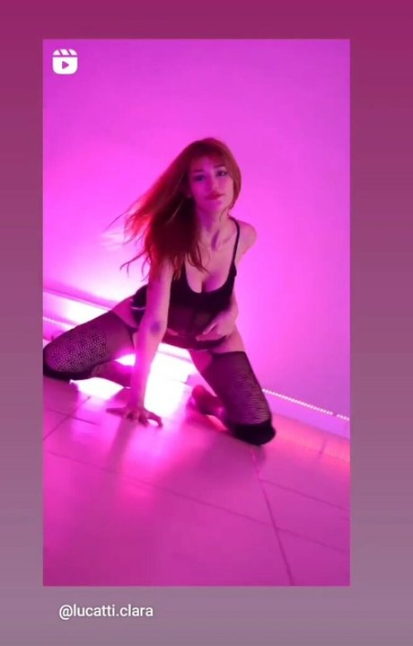 _theecat_ erwachsene bild