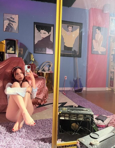 haleysvision kostenlose hd galerien