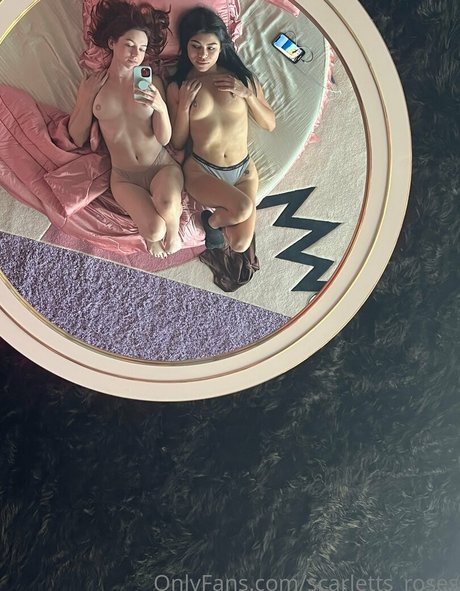 haleysvision kunst archiv