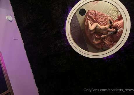 haleysvision perfekte schöne foto