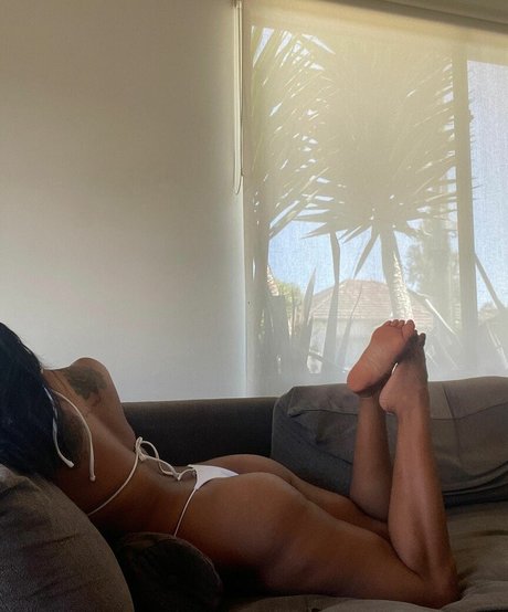 Asianbrown 33 erotische kunst archiv