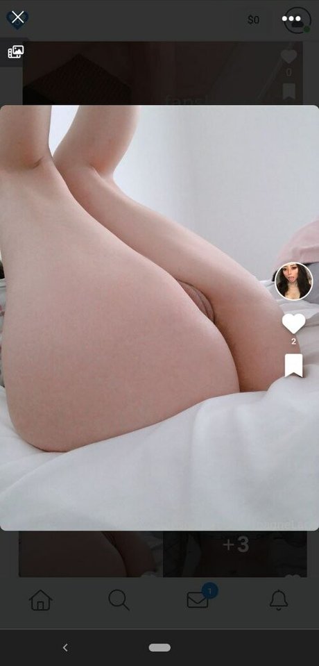 ChampagneLace erotische nackt foto